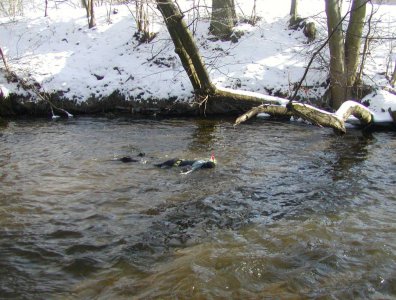 spływy kajakowe  - splywy-twardzieli-krutynia