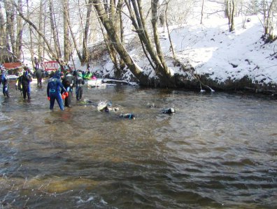 spływy kajakowe  - splywy-twardzieli-krutynia