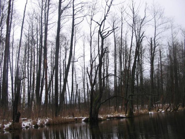 kajaki zima marcin olaf (2)