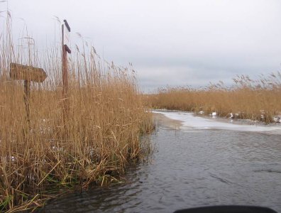 spływy kajakowe  - marcin-i-olaf-3-dniowy-zimowy-splyw-krutynia-z-noclegami-pod-namiotem-31-01-2007-03-02-20007
