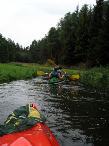 Brak tytułu