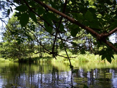 spływy kajakowe  - wda-22-07-29-07-2007