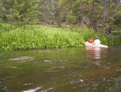 spływy kajakowe  - wda-22-07-29-07-2007