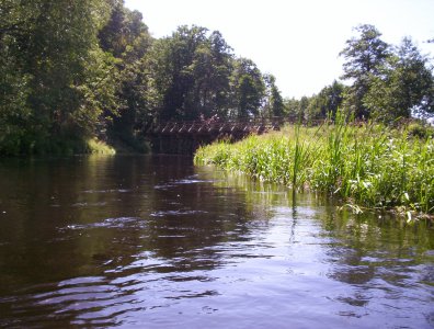 spływy kajakowe  - wda-22-07-29-07-2007