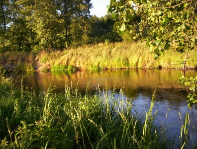 spływy kajakowe  - wda-22-07-29-07-2007