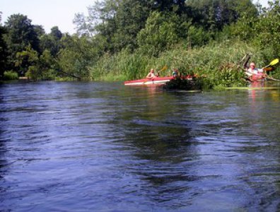 spływy kajakowe  - wda-22-07-29-07-2007