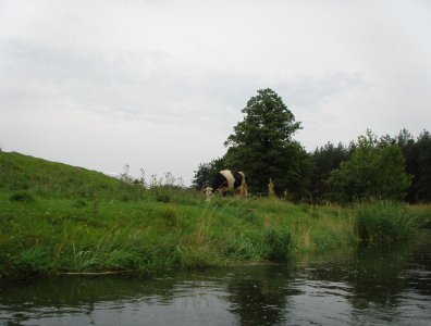 spływy kajakowe  - wda-22-07-29-07-2007