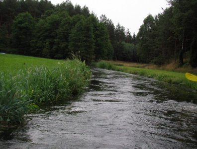 spływy kajakowe  - wda-22-07-29-07-2007
