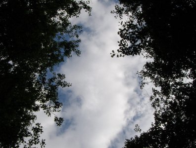 spływy kajakowe  - wda-22-07-29-07-2007