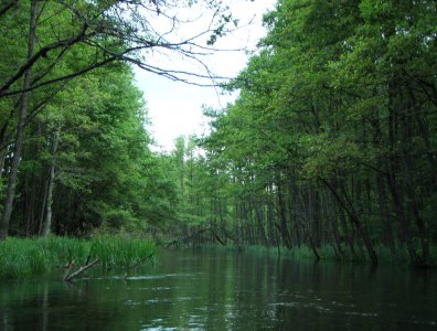 spływy kajakowe  - wda-22-07-29-07-2007