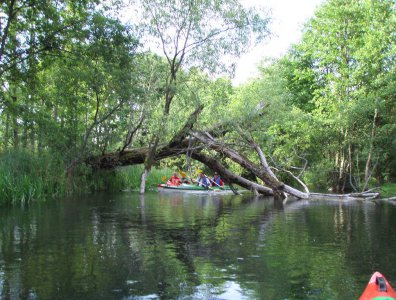 spływy kajakowe  - wda-22-07-29-07-2007