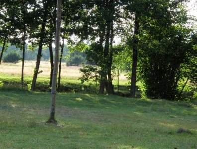 spływy kajakowe  - wda-22-07-29-07-2007