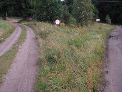 spływy kajakowe  - wda-22-07-29-07-2007