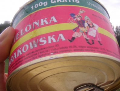 spływy kajakowe  - wda-22-07-29-07-2007