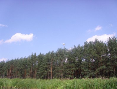 spływy kajakowe  - wda-22-07-29-07-2007