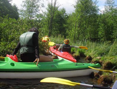 spływy kajakowe  - wda-22-07-29-07-2007