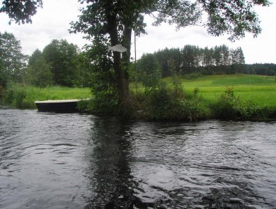 spływy kajakowe  - wda-22-07-29-07-2007